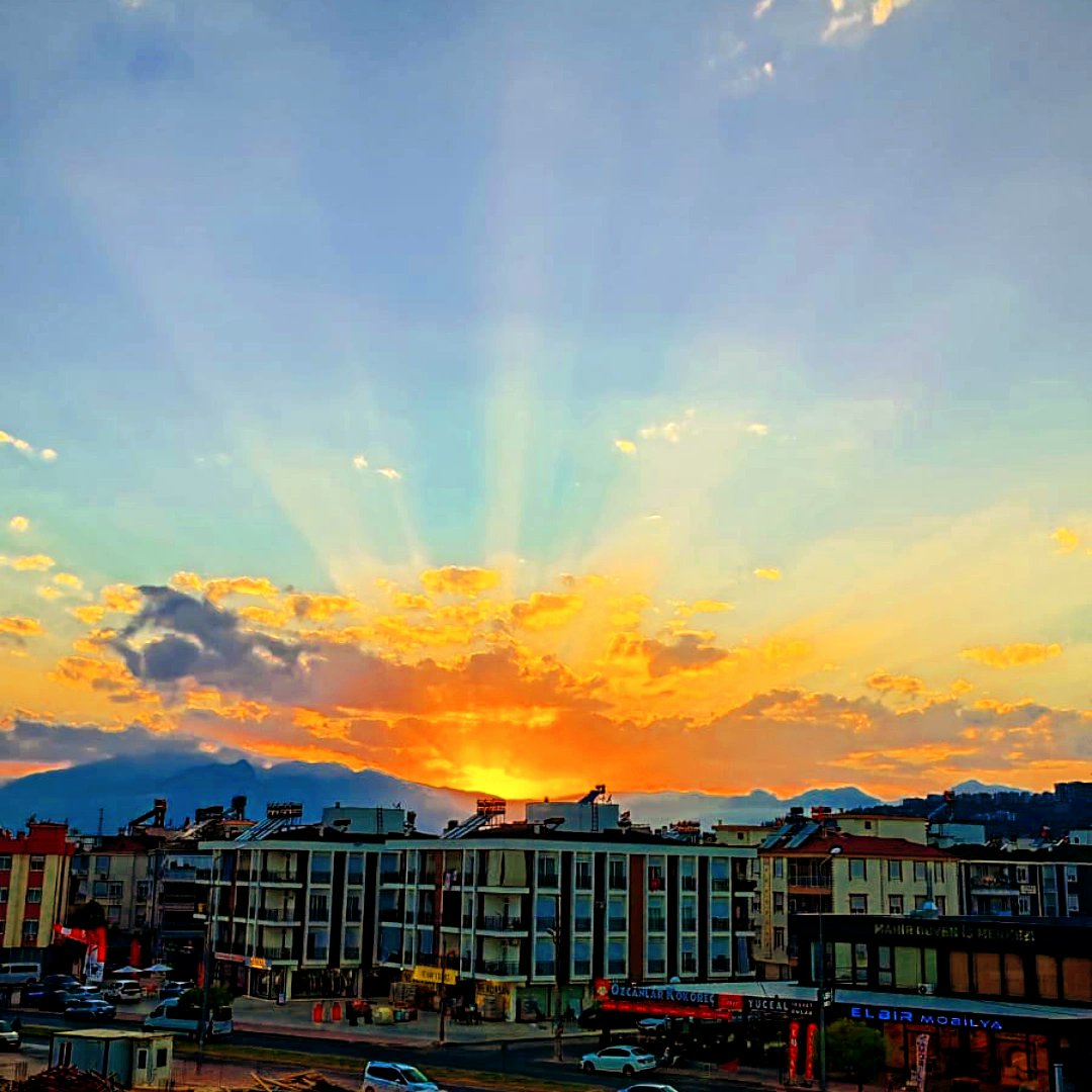 Tolga Alperen tweet media