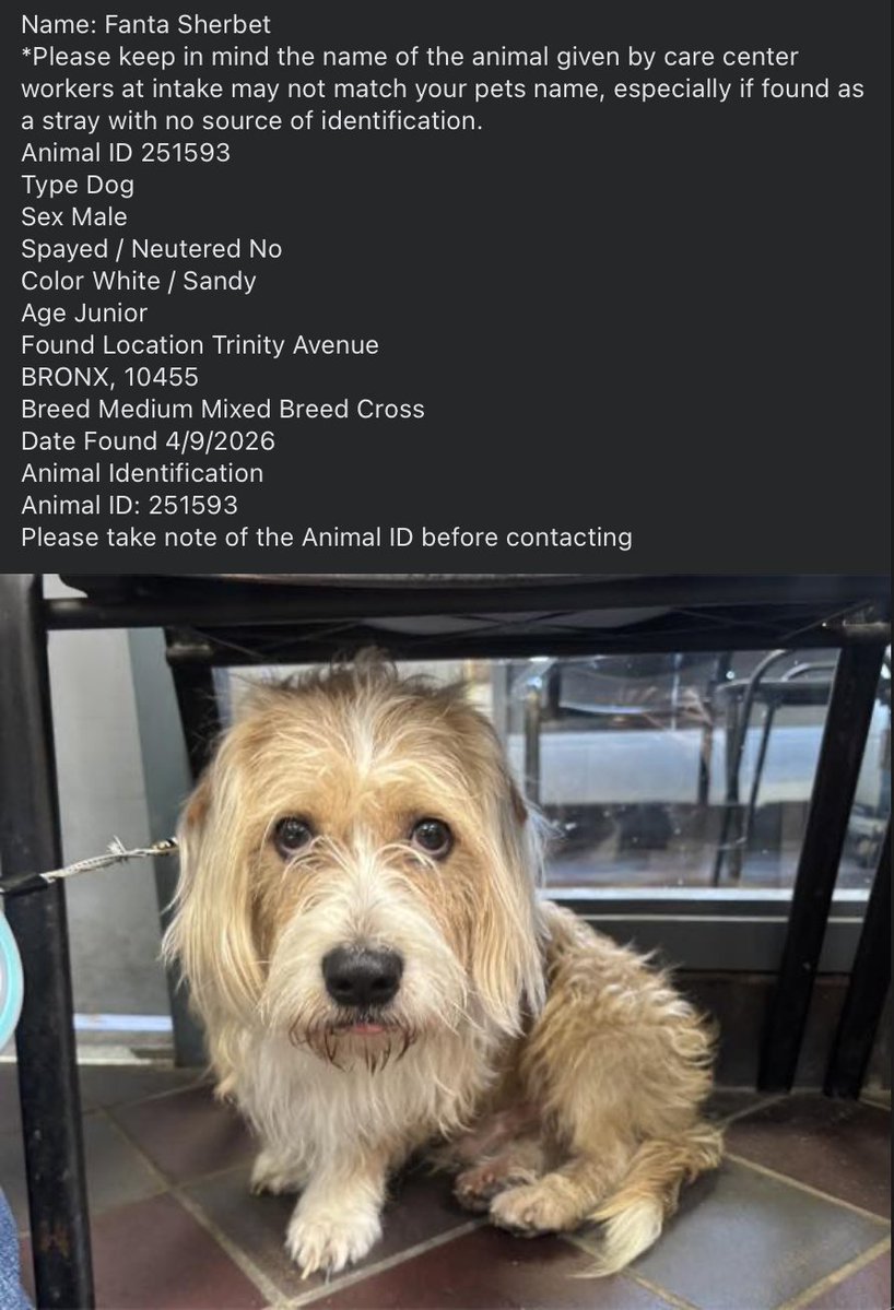 Tootsismyname🏴‍☠️ tweet media