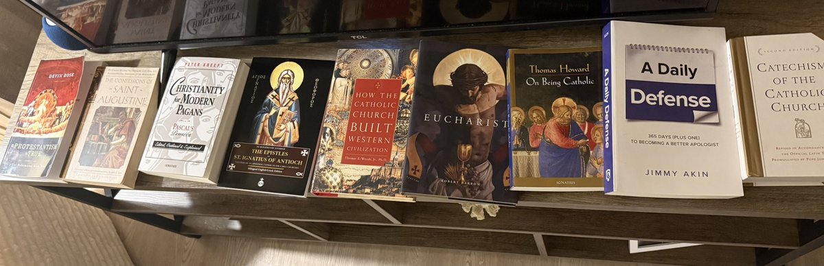 ♡ 𝙱𝚎𝚎 ♡ tweet media