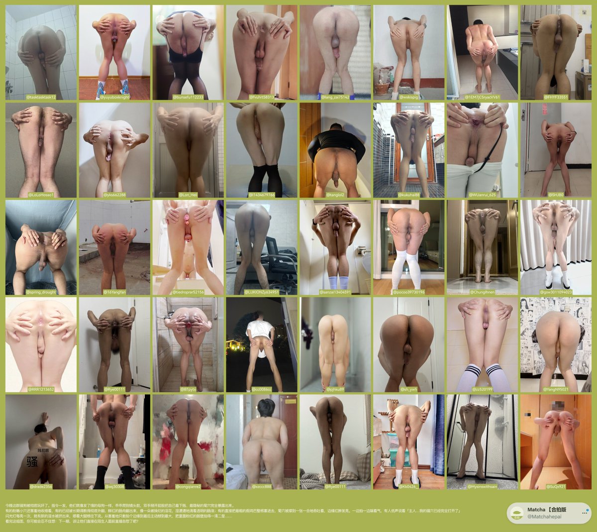 Matcha 【合拍版 tweet media