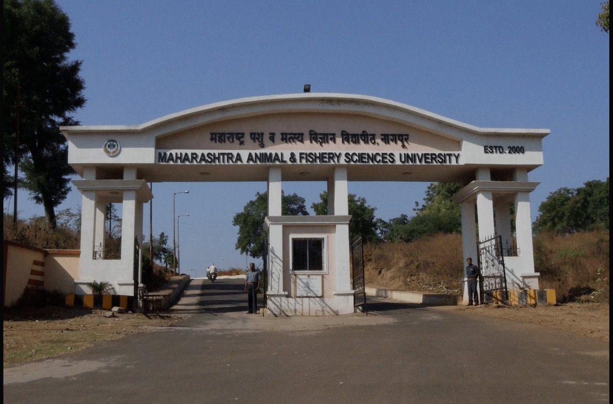 Nagpur_Vidarbha's tweet photo. #Nagpur #MAFSU
🚀 National Symposium on "Integrated One Health Approach" will be held at the Nagpur Veterinary College Campus of Maharashtra Animal and Fisheries Sciences University (MAFSU) on April 11 and 12.
https://t.co/cB4xENGEH4 https://t.co/ZVtEcpcqW9