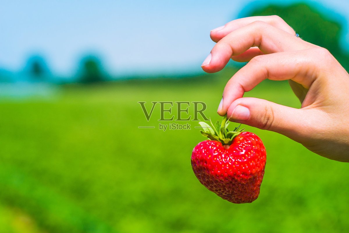 Colby Scherer tweet media