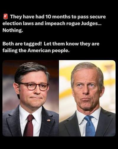 real_Jeff Berk ❌ MAGA #TrumpWon tweet media