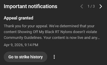 SolefullySated's tweet photo. Hey, the system actually works when you have a hater reporting your content for porn when there's no nudity. https://t.co/8Zchj43jsP