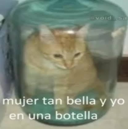 Random7GD tweet media