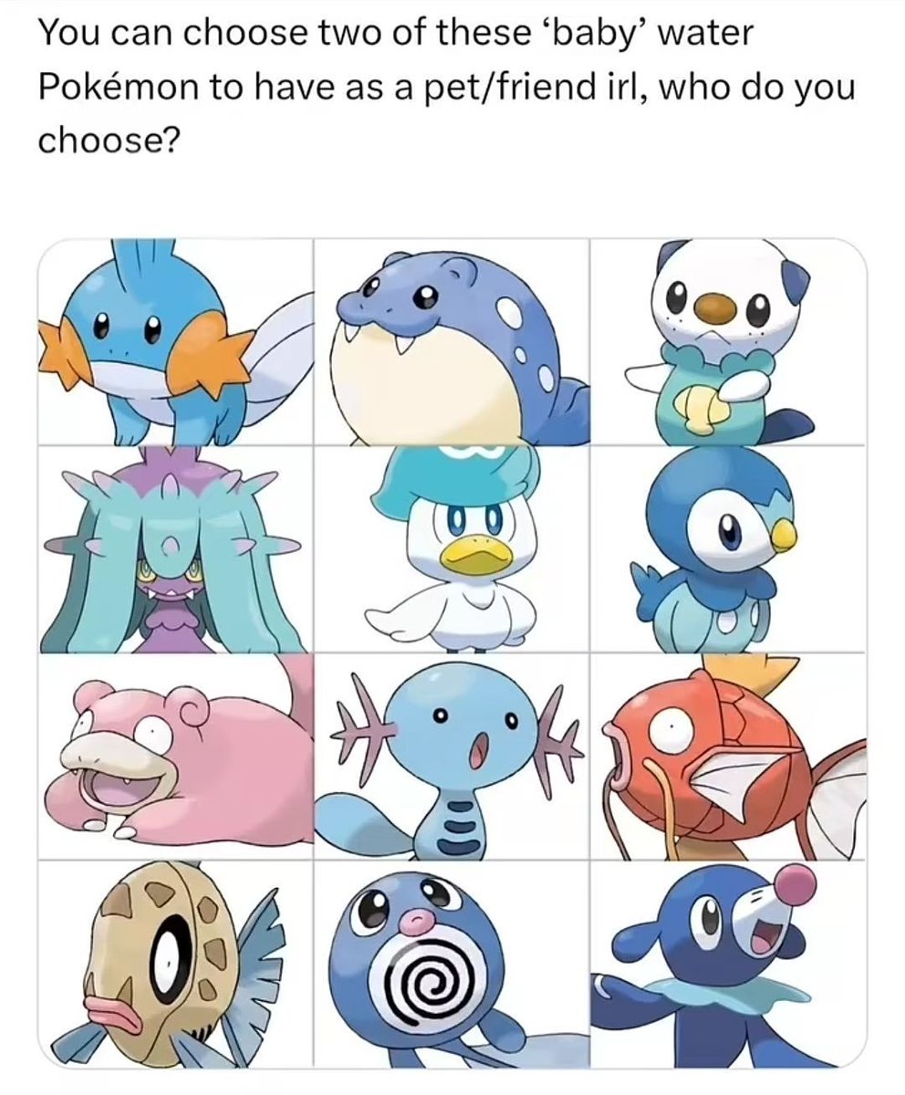 Pokémon Daily tweet media