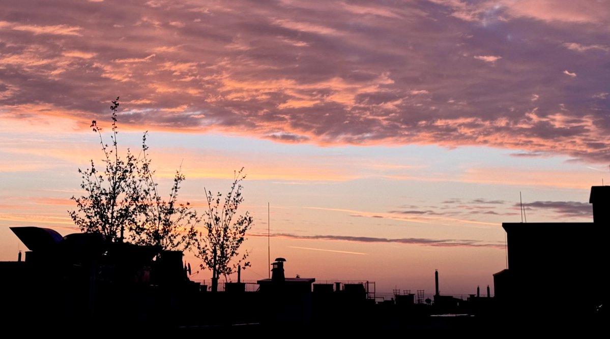 Spirelli1.0 tweet media