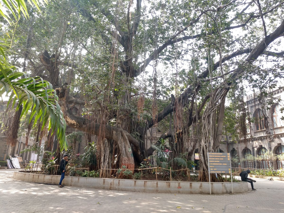 Gaurav Sabnis tweet media