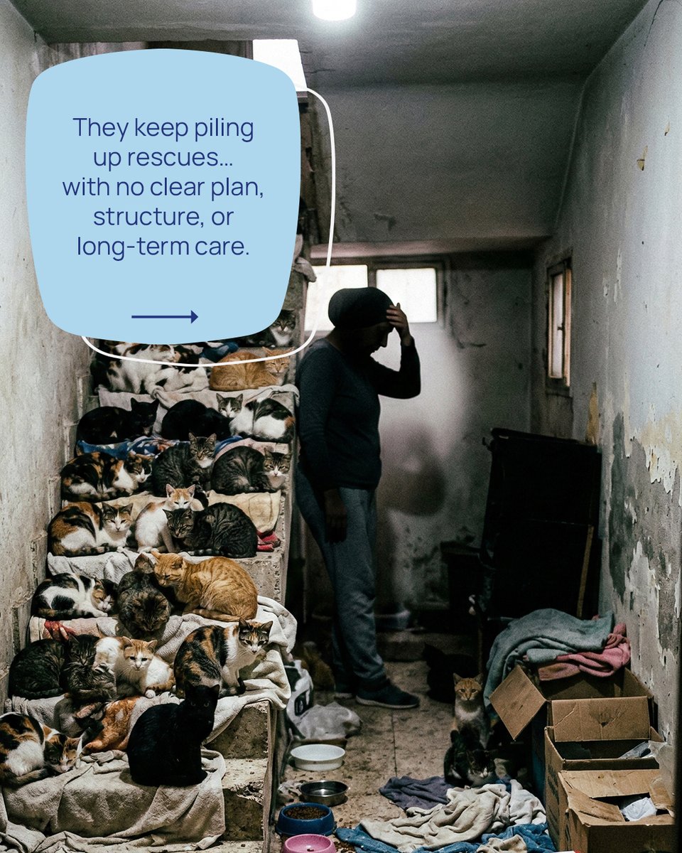 teamadslb's tweet image. Not all rescue is ethical. Awareness protects animals.
Support responsible rescuers who plan, stay transparent, and put long-term care first.
Share to help educate and protect vulnerable pets 💙

#adoptdontshop #rescue #pets