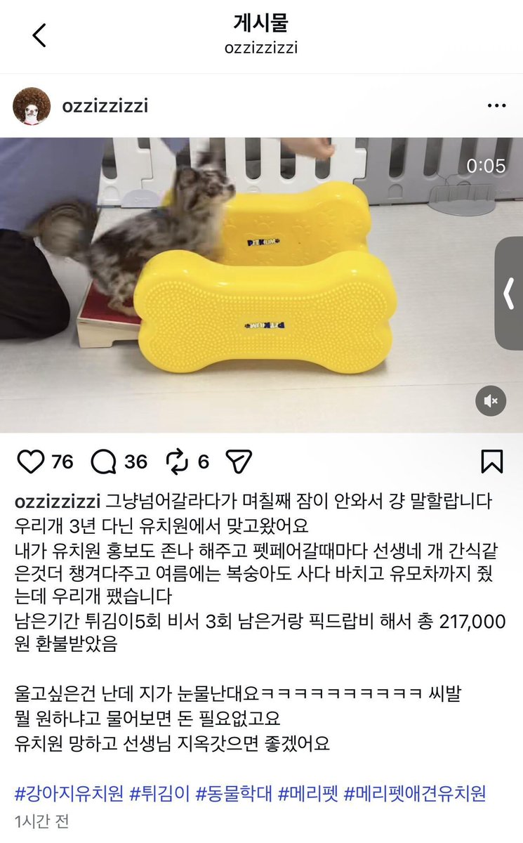 오늘은 또 무슨 일이 tweet media