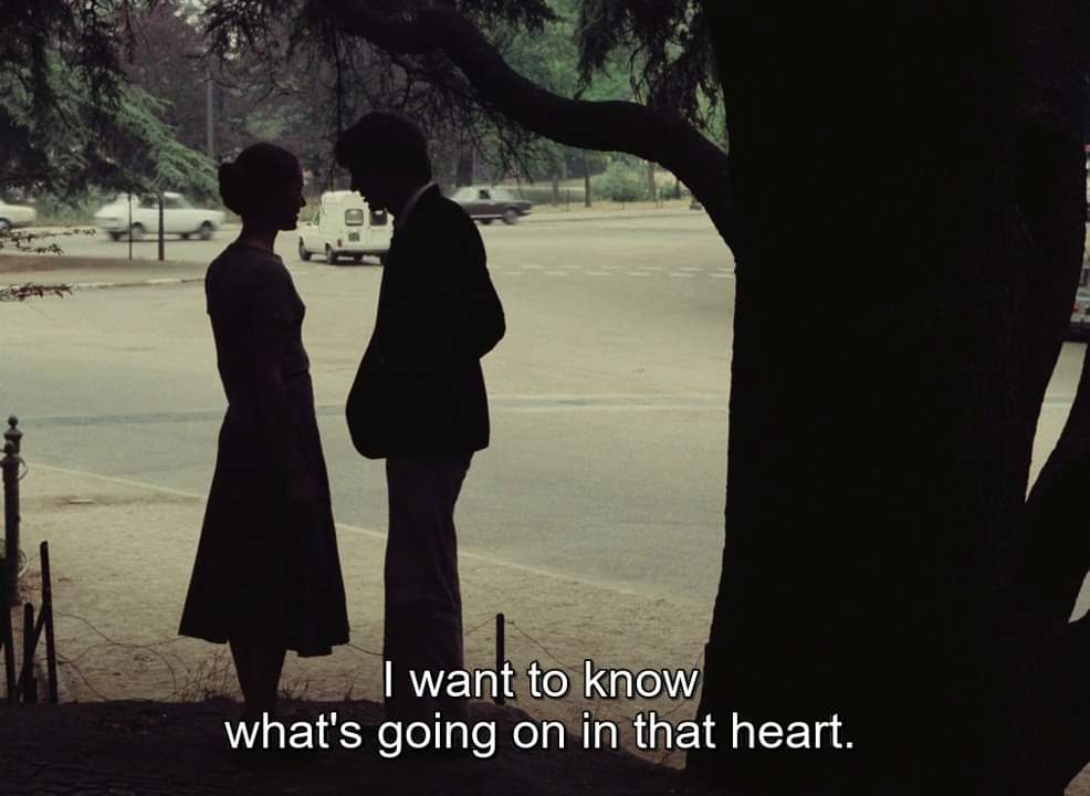 Scenes From Imaginary Films tweet media