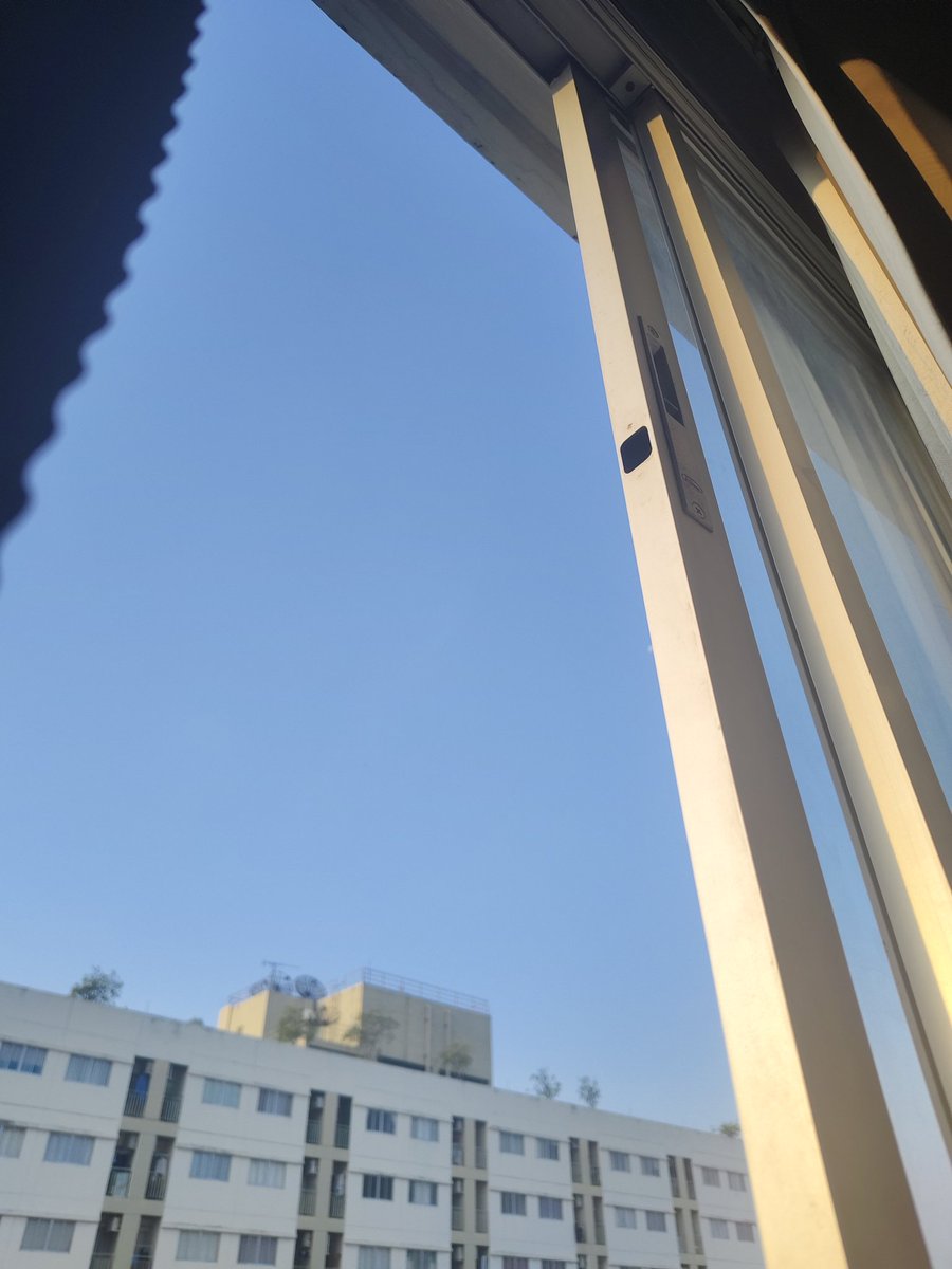 Bluebell tweet media