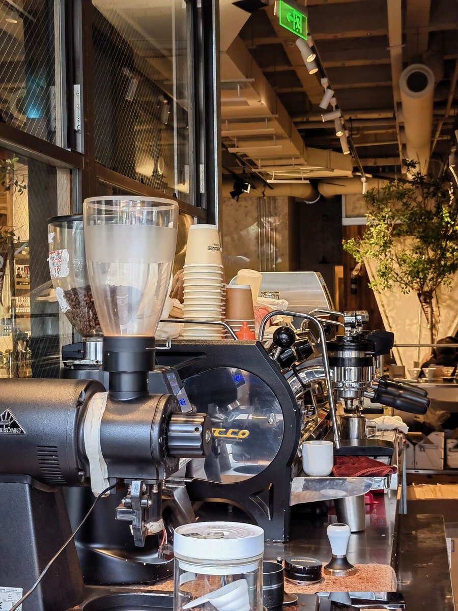 Chris Scopo tweet media