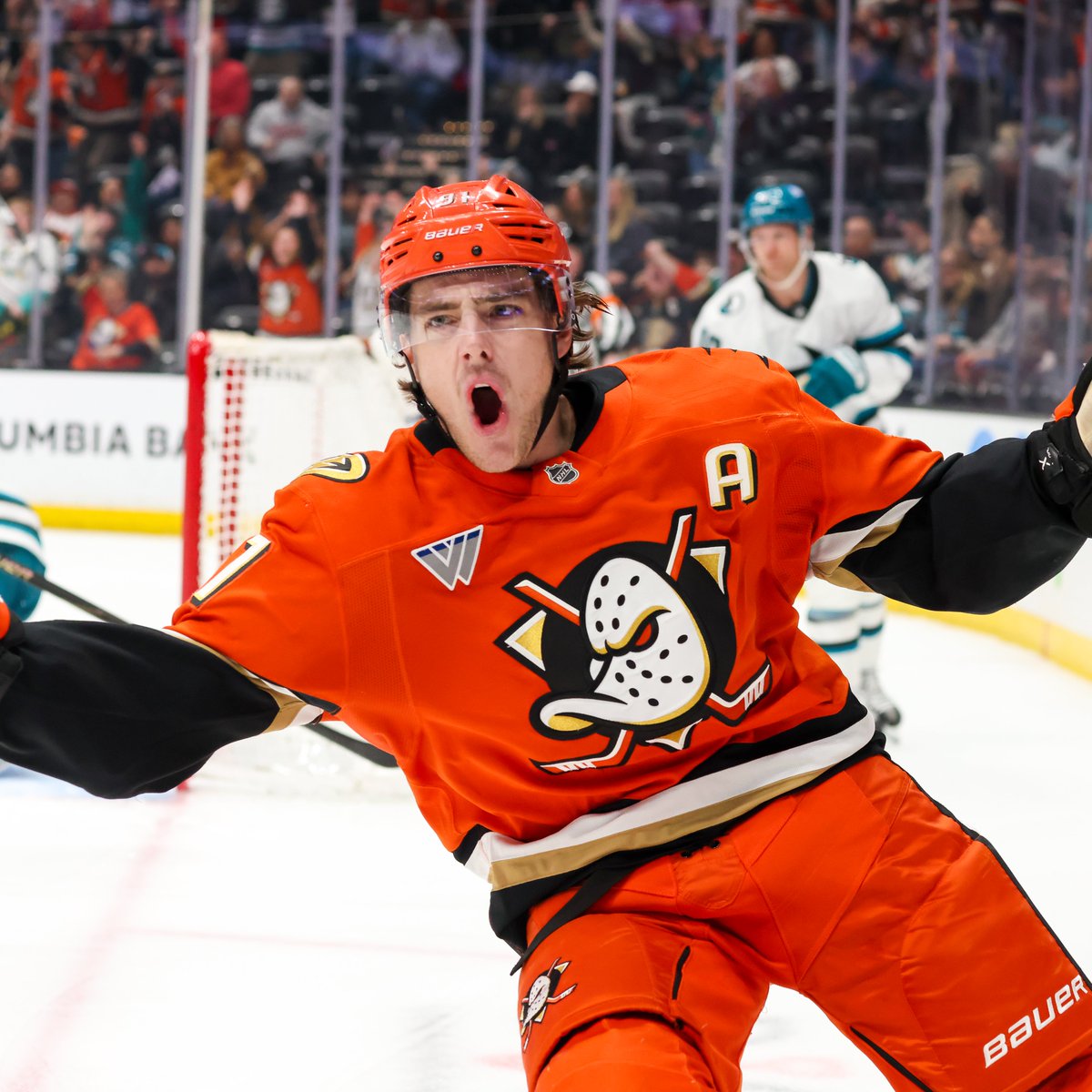 Anaheim Ducks tweet media