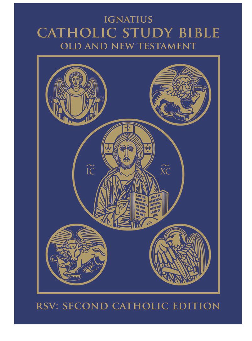 ♡ 𝙱𝚎𝚎 ♡ tweet media