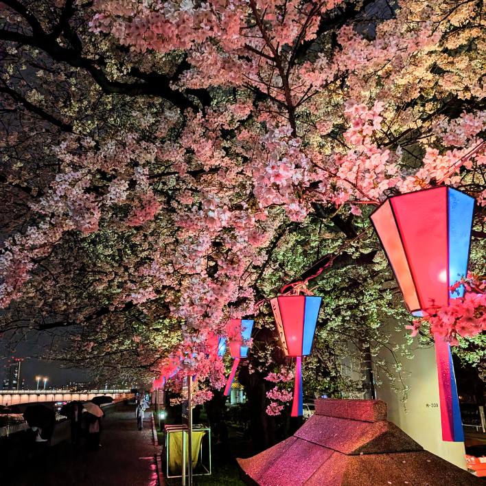 ＼春を感じるひととき🌸／

先月末 #お花見散歩 をしてきました。

あいにくの雨でしたが、
しっとりとした桜も風情があり、
ゆっくり楽しめました。

そのあとはみんなで馬肉のお店へ🐎
美味しい料理を囲み、会話も弾む時間に。

こうした時間も大切にしながら、
日々の仕事にも向き合っていきます。