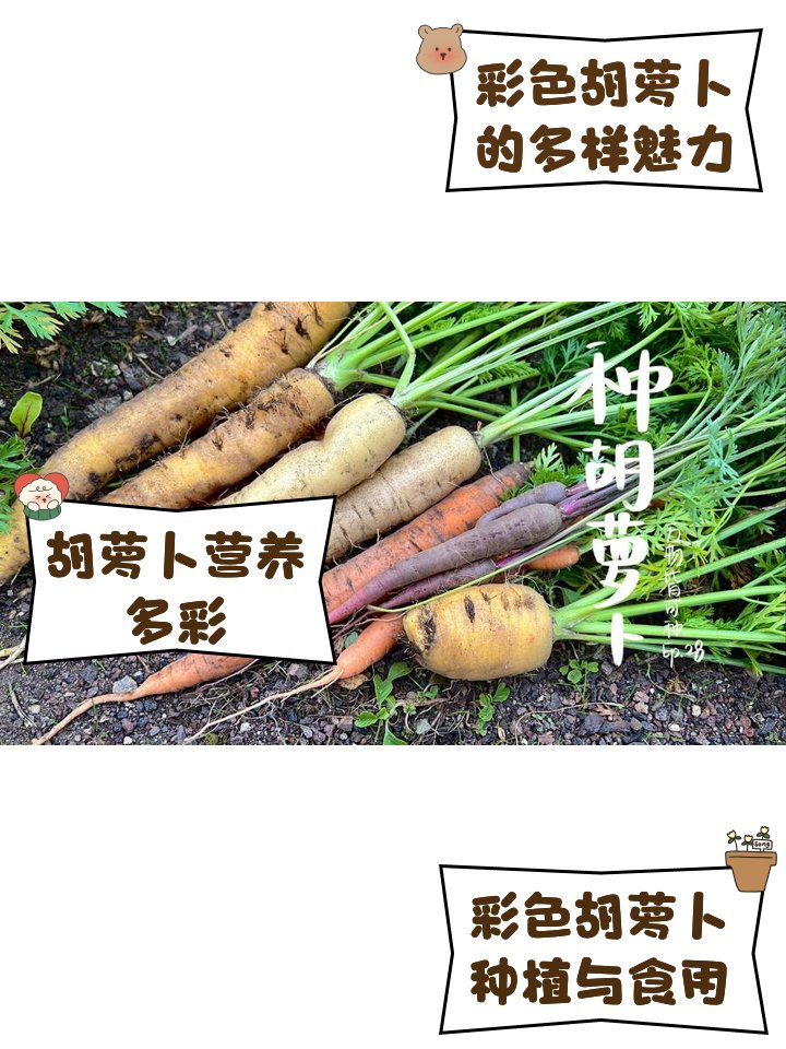 Richard Simon tweet media