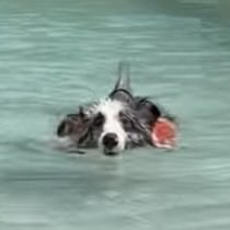 หลิงปิ๊ป ︴𝐈 ♥️ ตี๋ tweet media