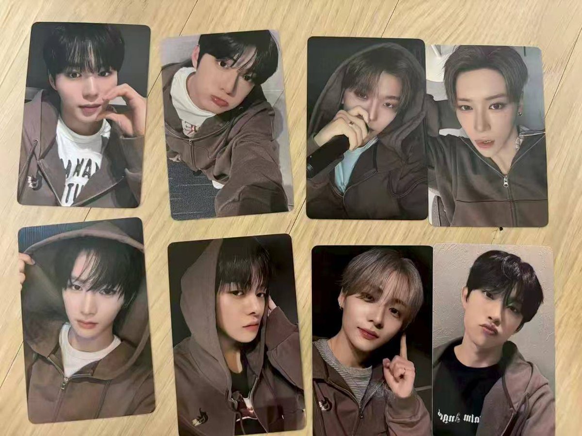 bearsun._. tweet media