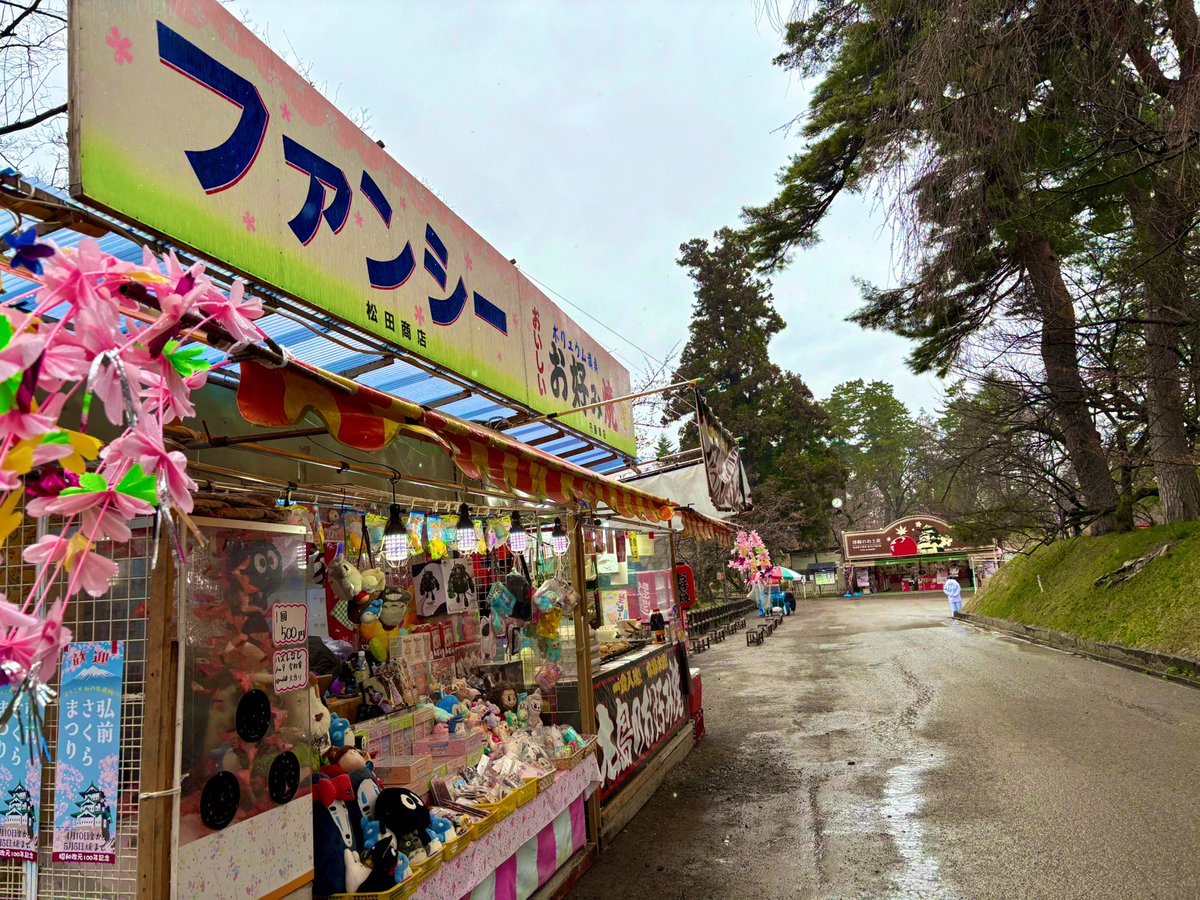 弘前ルーシィ【公式】桜援隊長🌸 tweet media