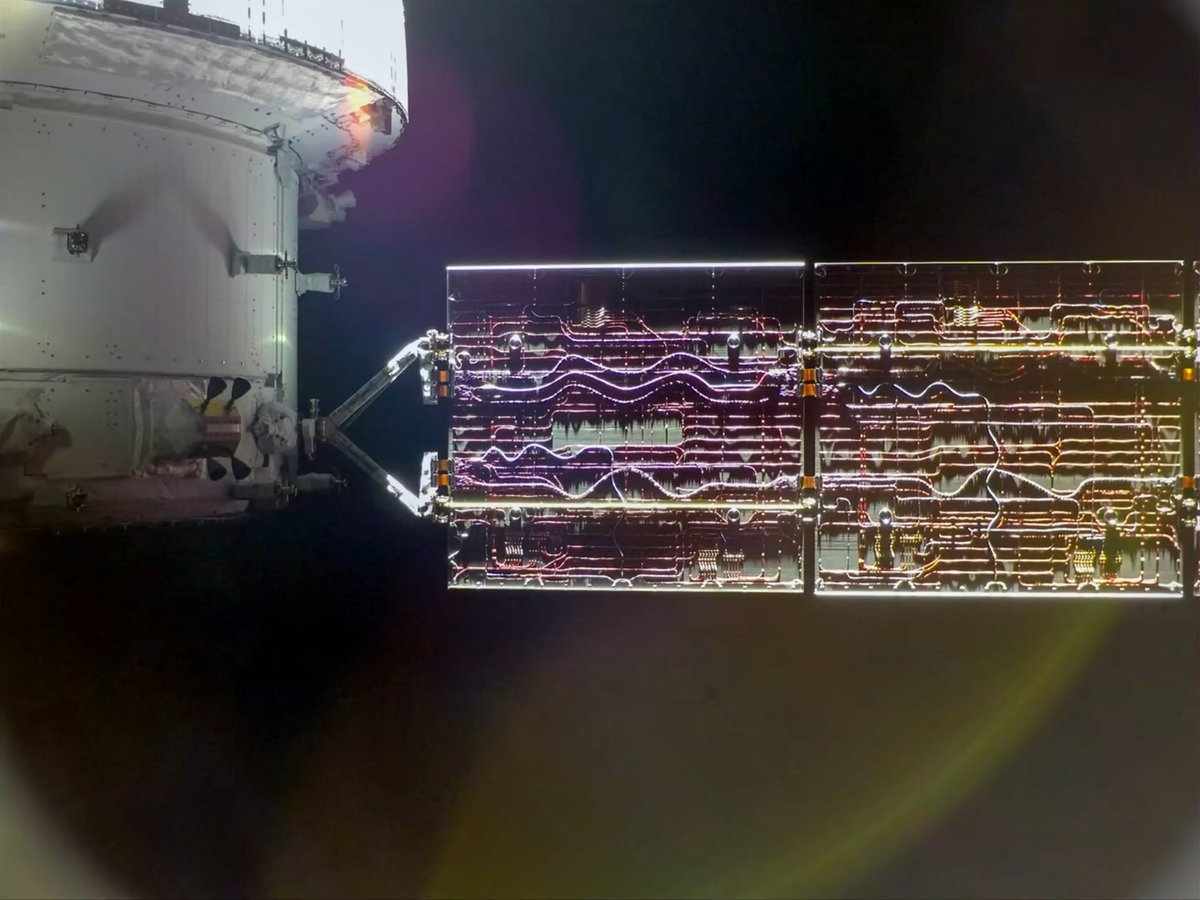 go4gordon 🌕 tweet media