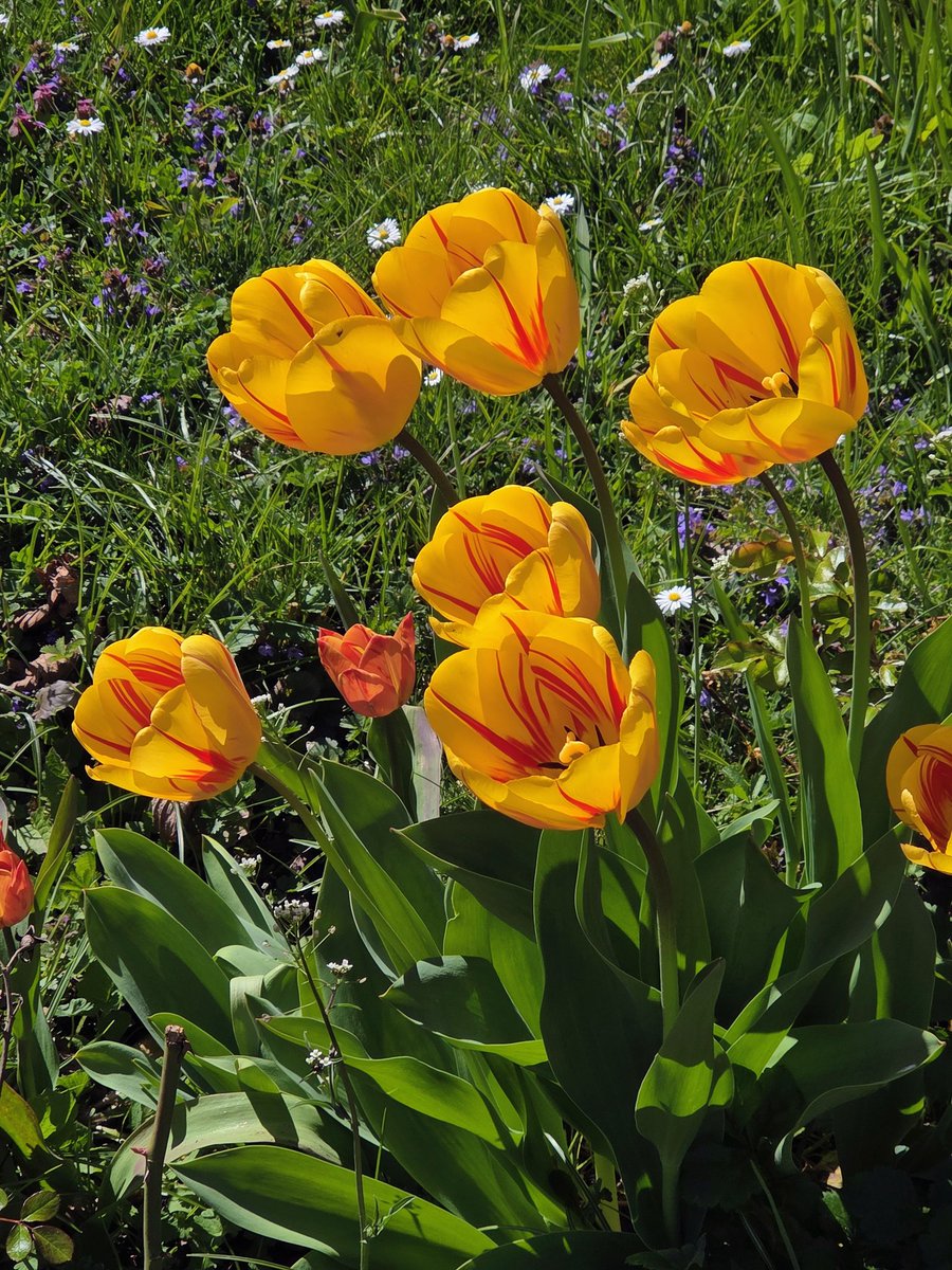 Infowiesel  tweet media