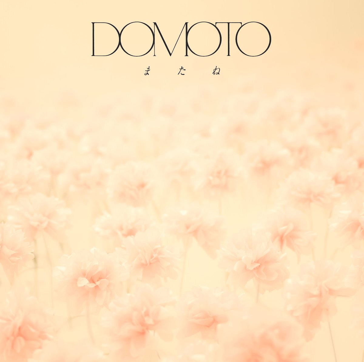 DOMOTO ELOV-Label tweet media