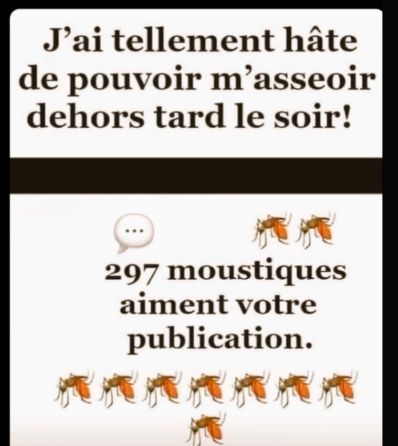 🅶🅾🆁🅺 tweet media