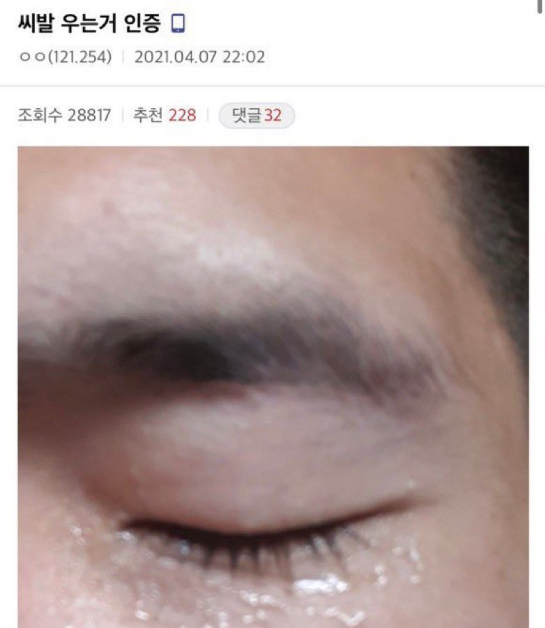 센티피 tweet media