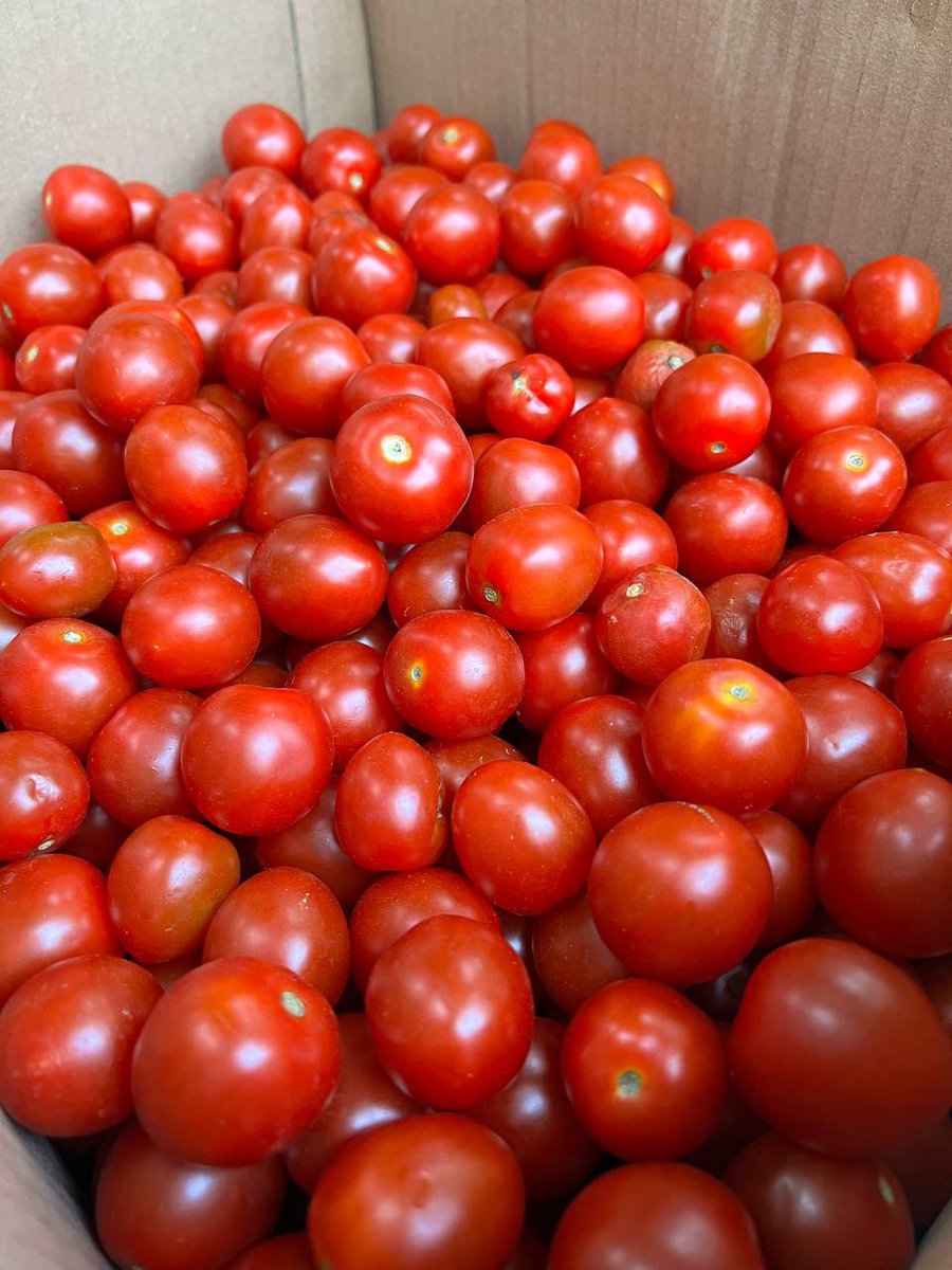 Kiko Pangilinan tweet media