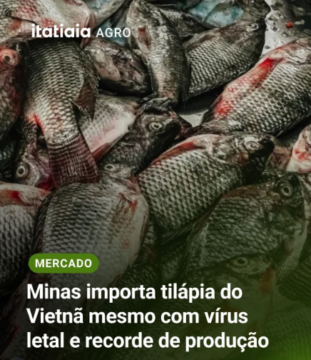 ademir_corno tweet media