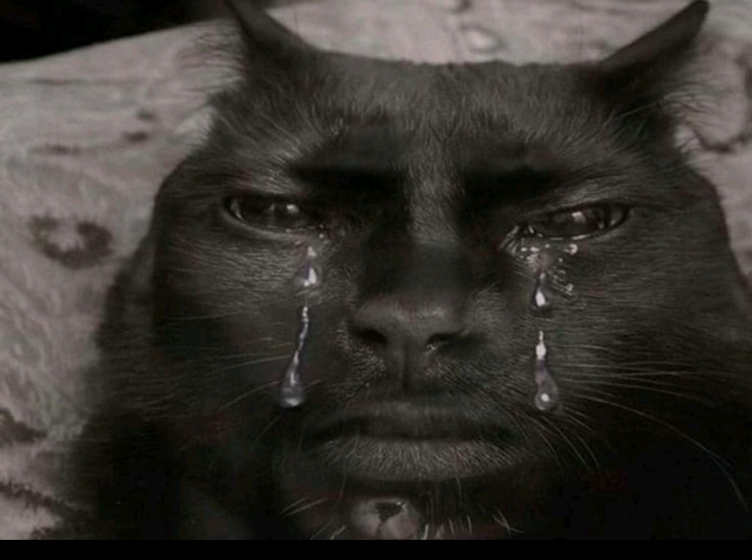 ‼Doomer‼ tweet media