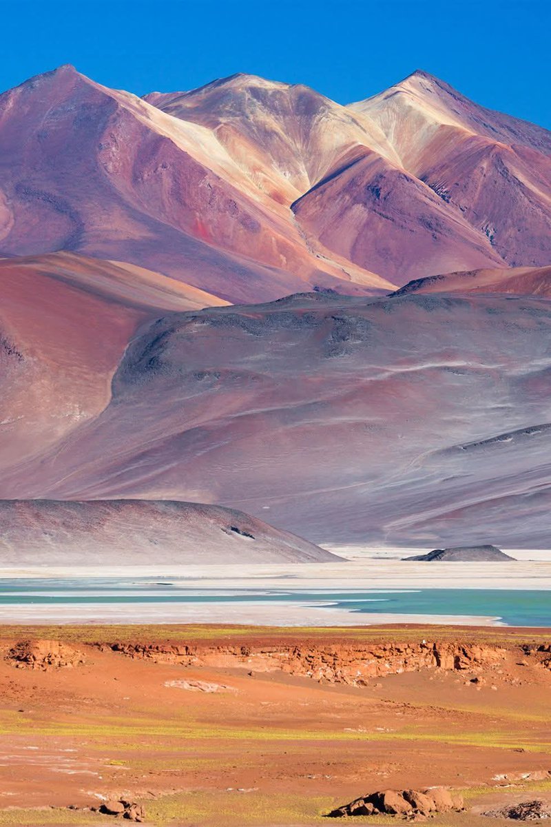 N A T U R E tweet media