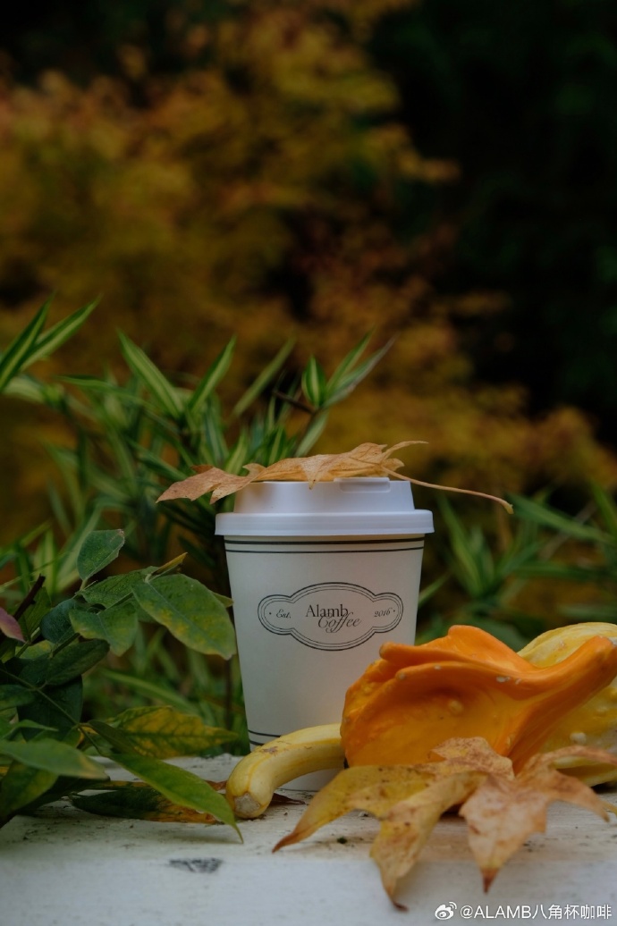 Brianna Bodman tweet media