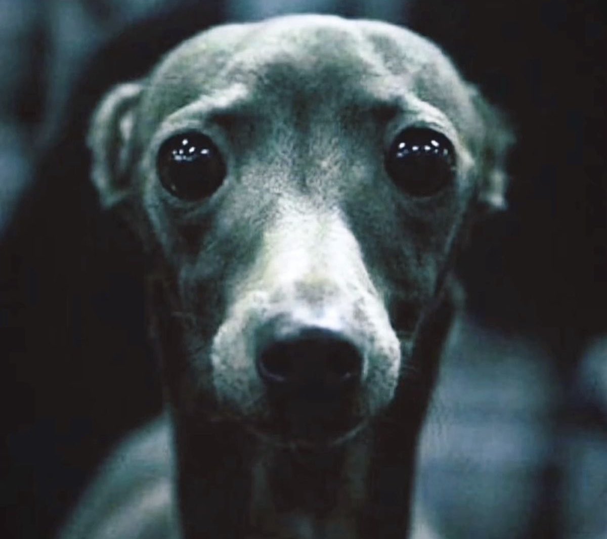 mina ꨄ︎ dwy tweet media