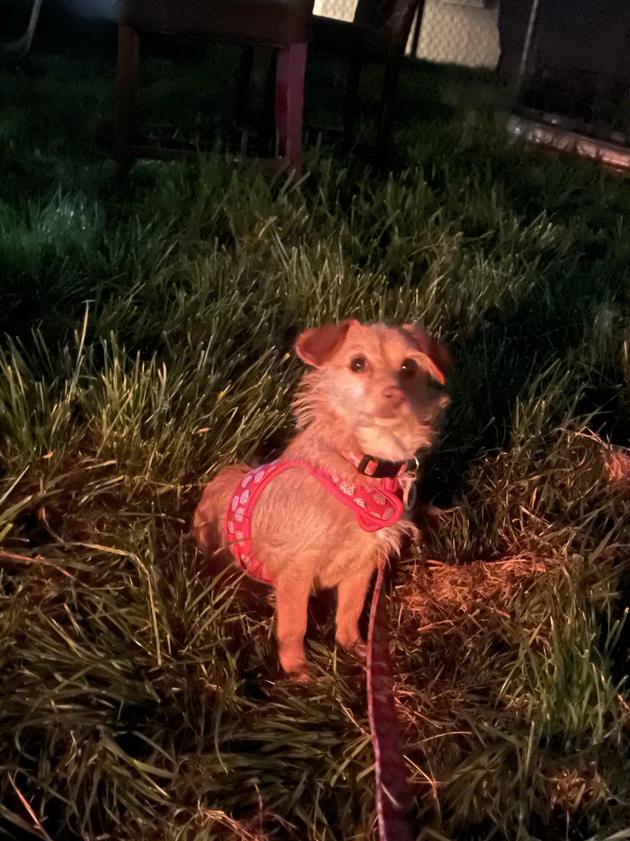 Edith Garden tweet media