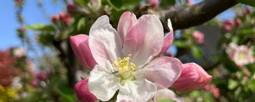 NatureTodayNL tweet media