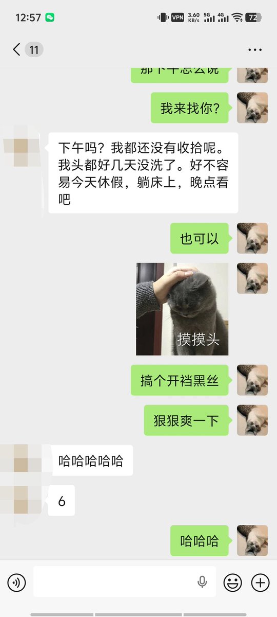 专属逗猫棒 tweet media