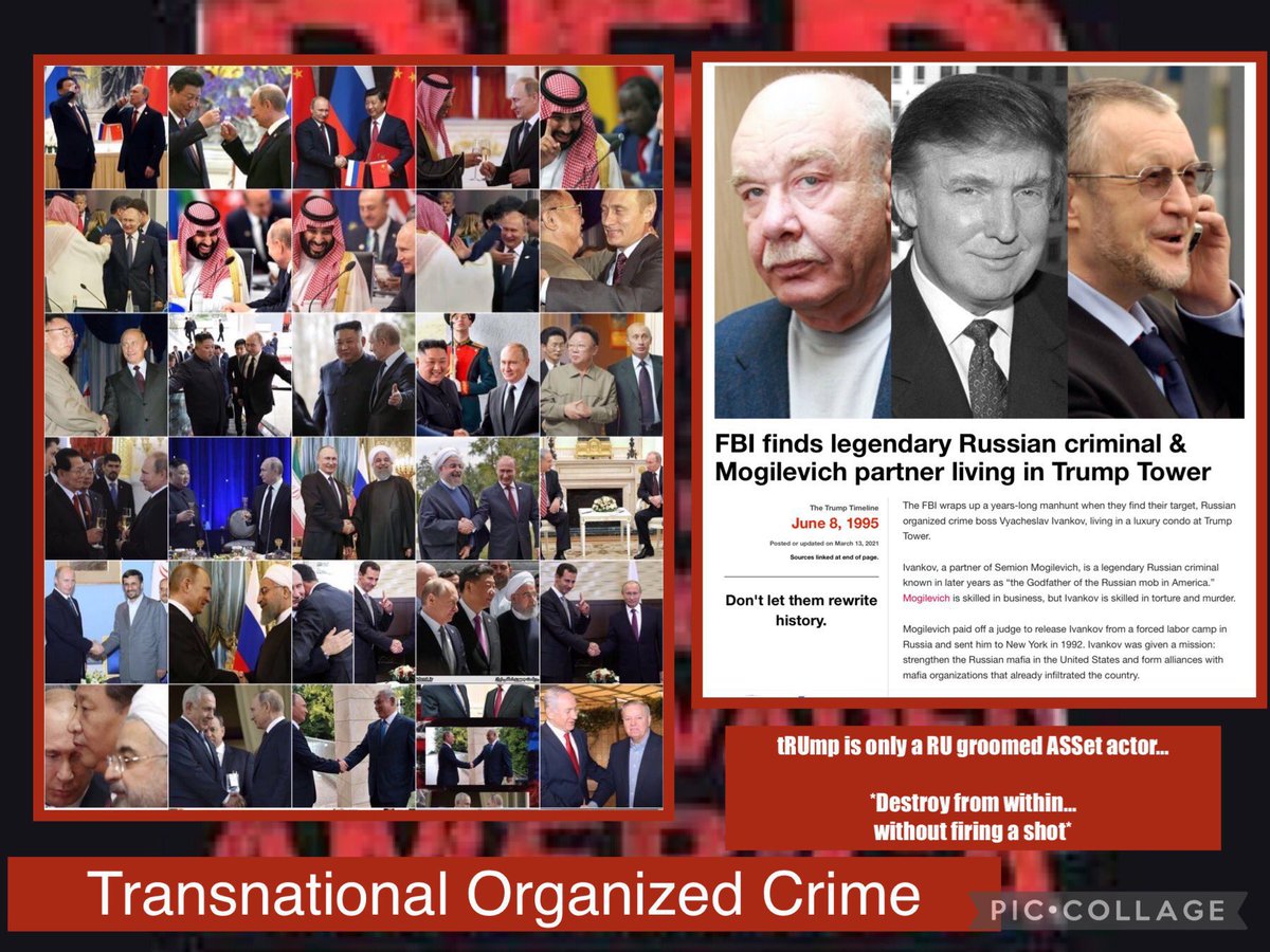 MsPacNWer 🙏🇺🇦🌏🏔️ 🗽 ⚖ 🇺🇸 🗞 📚 🔎 🎯 📡🕯️ tweet media