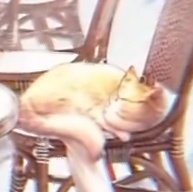 빡욈가리 tweet media