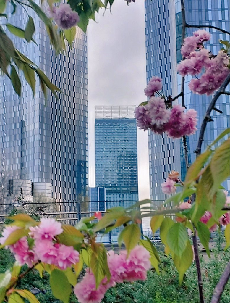 MonicaCrimmins's tweet image. Good morning.  It's Friday! View from the Mancunian Way of the Beetham Tower 🌸 #Manchester
