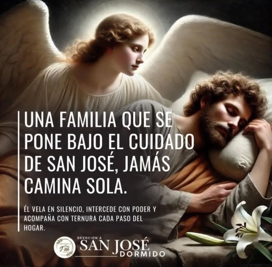 Fe Viva Católica tweet media