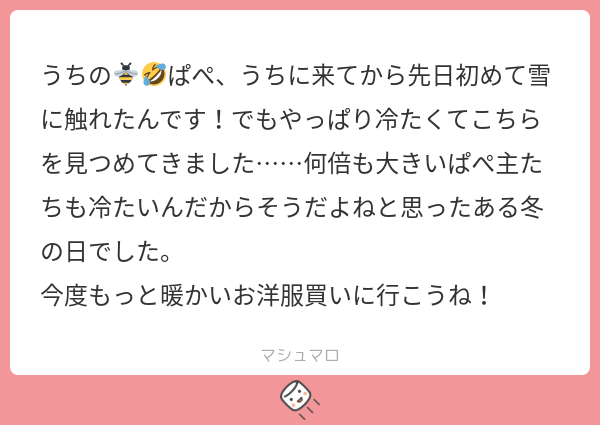 マシュマロでいただいた生態報告です。