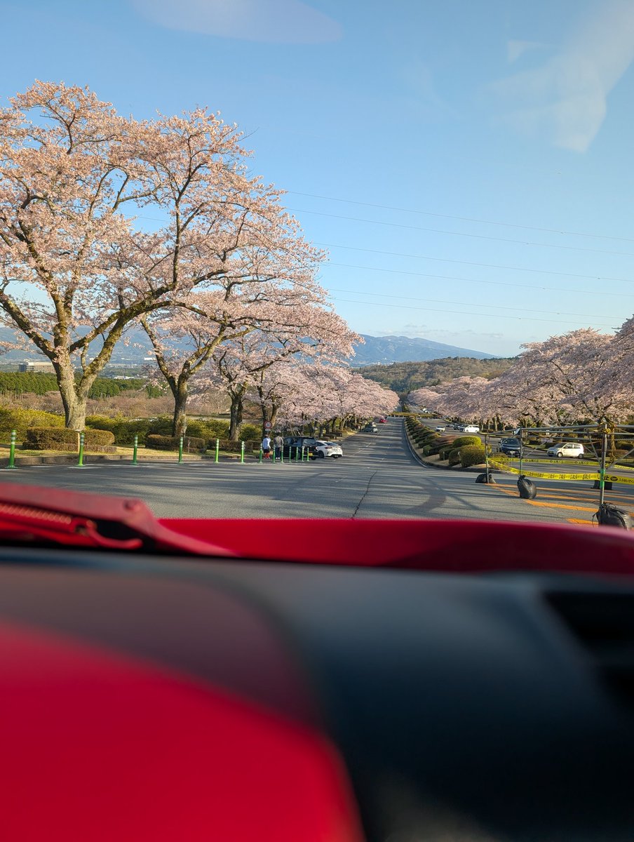 赤チャリ商店 tweet media