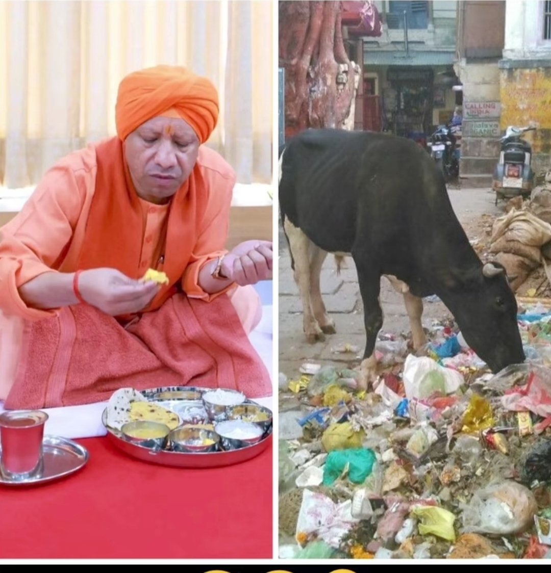 Bhavesh Makwana tweet media