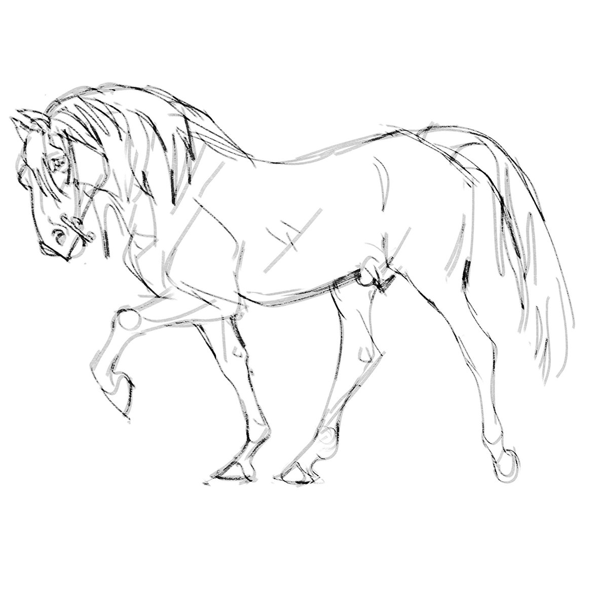 プラッタコサウルス tweet media