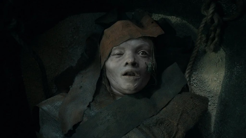 Brandon Davis tweet media