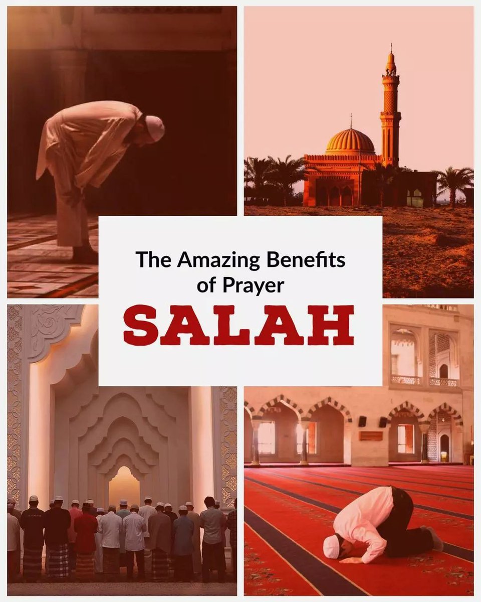 Cool_Ustaz's tweet photo. ●》The Amazing Benefits Of Prayer (Salah).

●》Thread 🧵 https://t.co/DZIBsvvzai