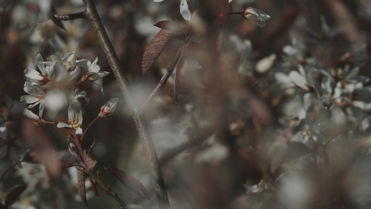 K375 Design Team (@k375designteam) on Twitter photo 