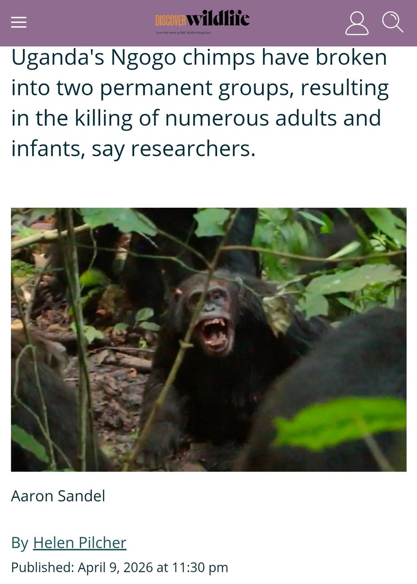 Nature is Amazing ☘️ tweet media